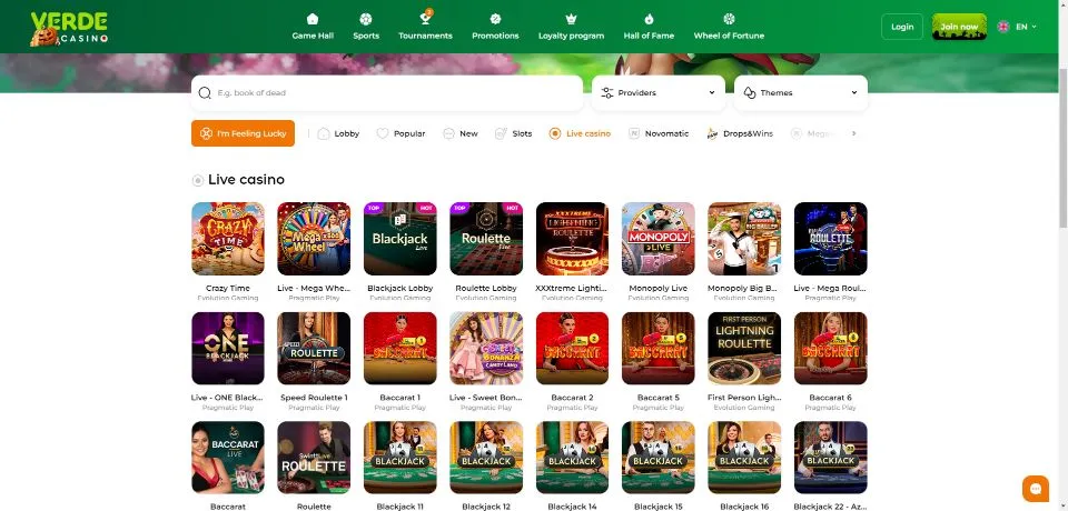 Blaze village codes